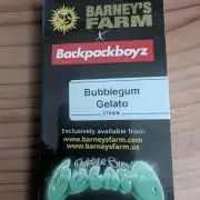 Bubblegum Gelato - Barney's Farm