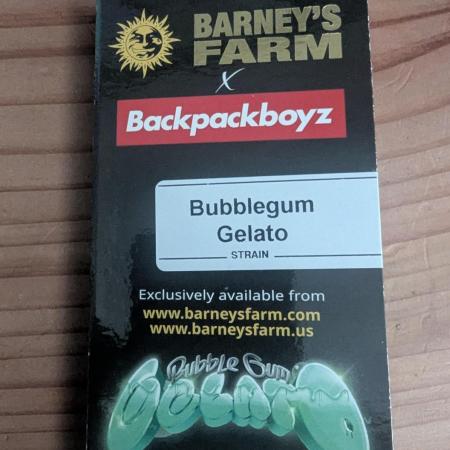 Bubblegum Gelato - Barney's Farm