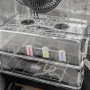 AlienZ Automatic - Greenhouse Seed Co.