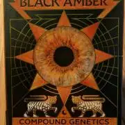Shake Back - Compound Genetics