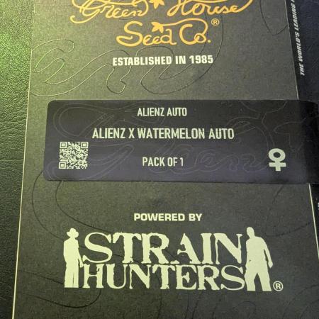 AlienZ Automatic - Greenhouse Seed Co.