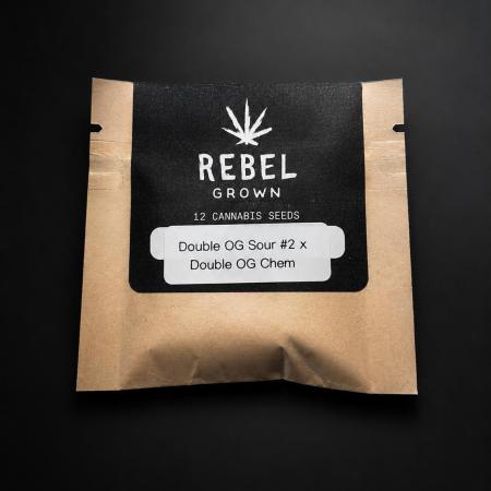 Rebel Grown in My Town