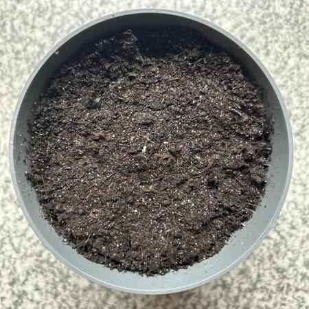Nutter Butter Craft Cultivation