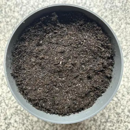 Nutter Butter Craft Cultivation