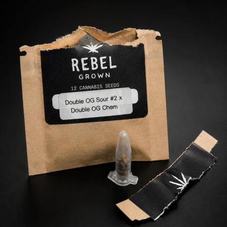 Rebel Grown in My Town