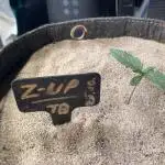 z-Up Fastbuds