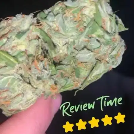 Haze berry auto 2023