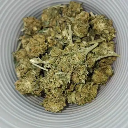 Lemon ak 2023