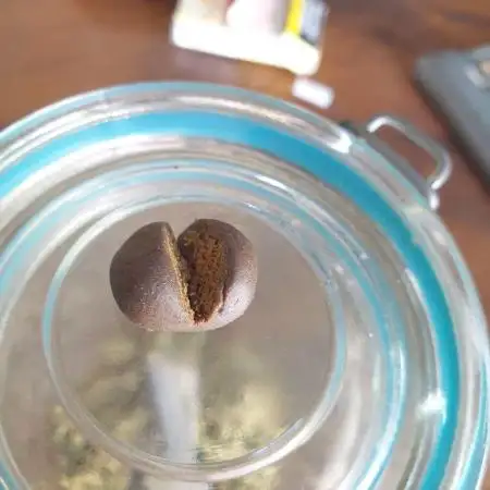 Best resin extract, kief 2022-2023