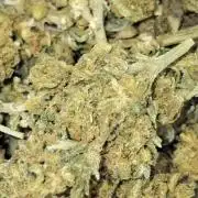 🥇italian grower awards 2023