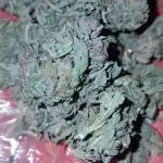 Bubblegum auto - Auto BubbleGum xxl