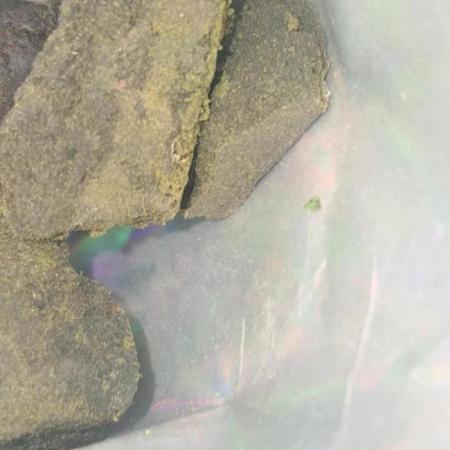 Best resin extract, kief 2025-2026