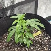 Meanwhile in the moment room