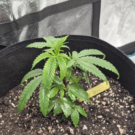 Meanwhile in the moment room