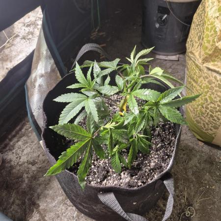 Meanwhile in the moment room