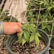 Meanwhile in the moment room