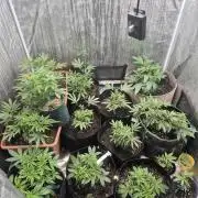 Meanwhile in the moment room