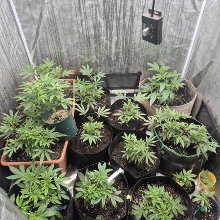 Meanwhile in the moment room