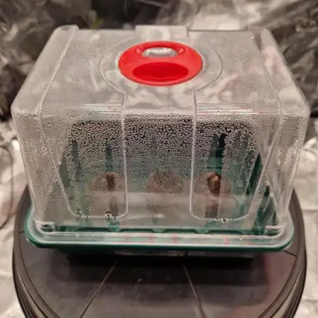 Frostbanger Auto