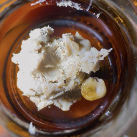 First Clone, first Indoor Grow