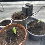My Medical Grow