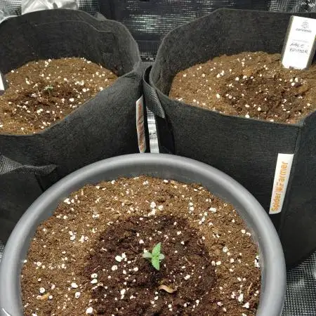 First Indoor