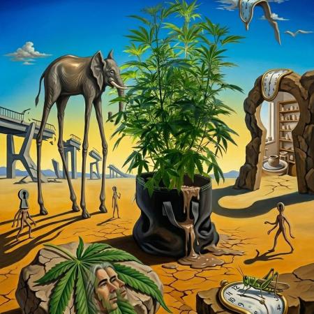 Zamnesia - Permanent Marker - outdoor
