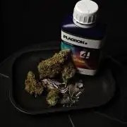 Sticky Broccoli auto