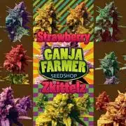 Ganja Farmer - Strawberry Zkittelz Auto