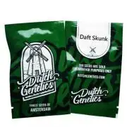 The Legendary Journey of Daft Skunk