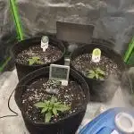 1# Autos