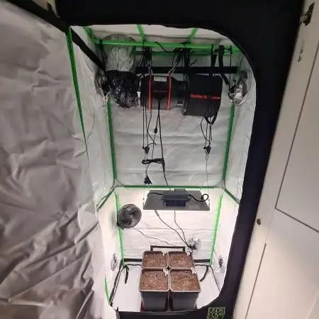 First Grow ever!