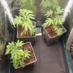 First time