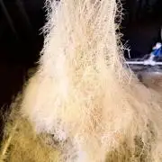 High Pressure Aeroponics, Irie Maiden