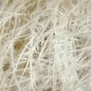 HPA. Irie Maiden, Romulan Genetics.