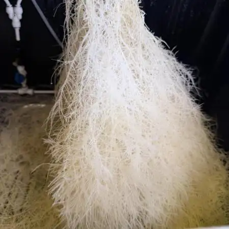 HPA. Irie Maiden, Romulan Genetics.