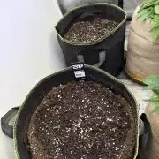 FastBuds Seedtest💪🏽