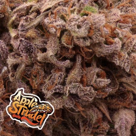 FastBuds Seedtest😁