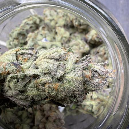 420 FastBuds Seedtest