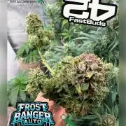 420 FastBuds Seedtest