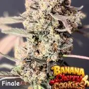 420 Guava Sandea+ Banana Cherry Cookies
