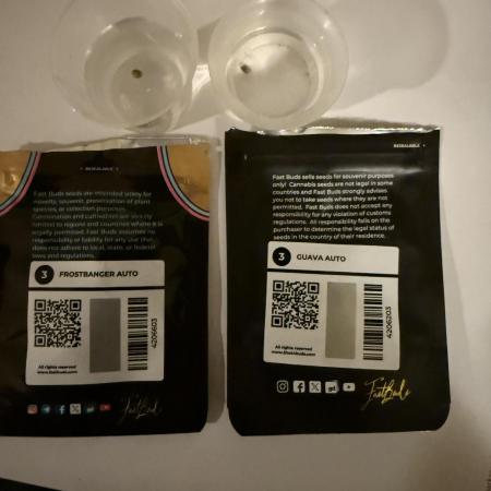 420 FastBuds Seedtest