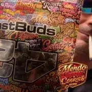 FastBuds MSRA&BSCA