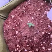 Amnesia Z Auto (FastBuds), 30x30x60, 50W