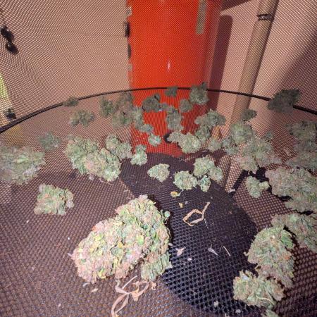 Fastbuds Z-Up Auto