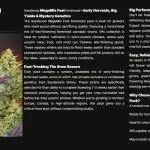 Seedsman Mega Mix Fast 2025