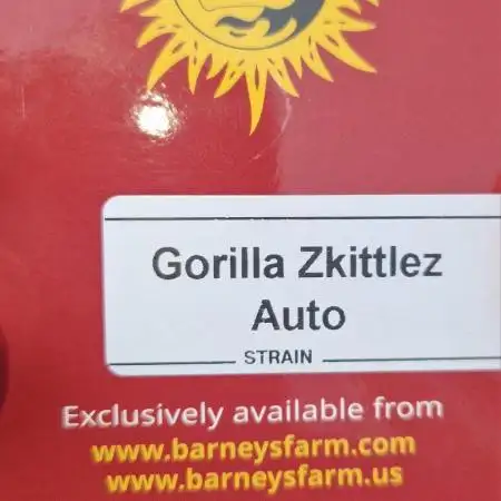 Gorilla Zkittlez Auto by Barney's Farm