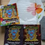 Projekt 4m Bäume - Sweet Seeds Fast