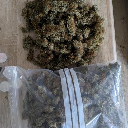 5x Hawaiian Snow/ topped / LST