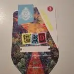 Zamnesia LSD